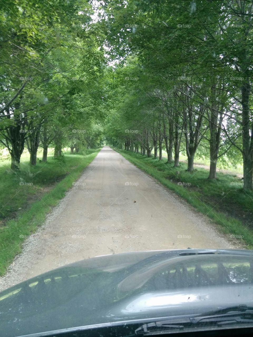 Country driveway 
