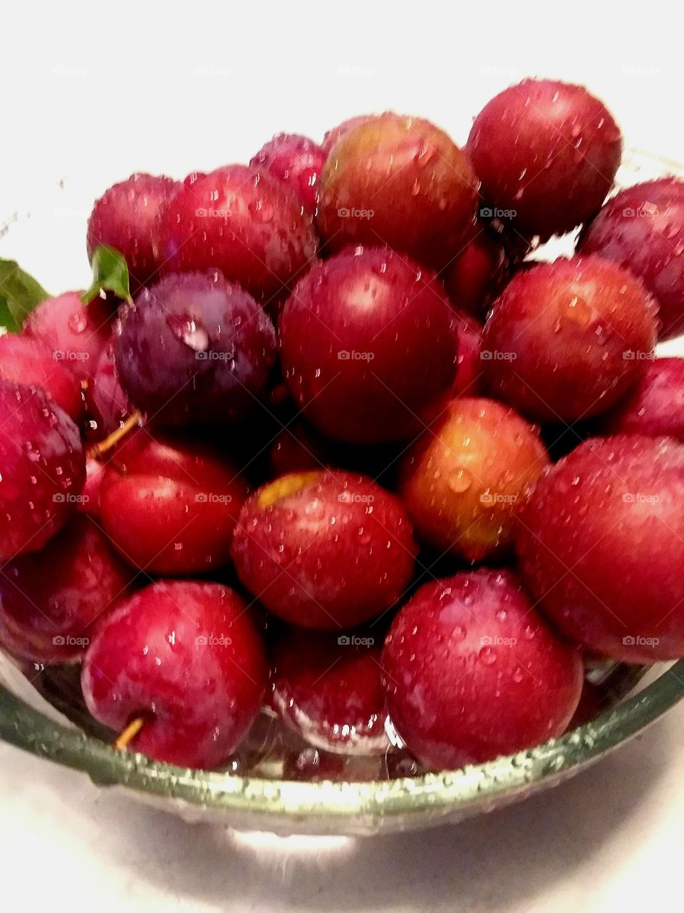 the squirrels didnt eat the plums before I could get them.  YEA!