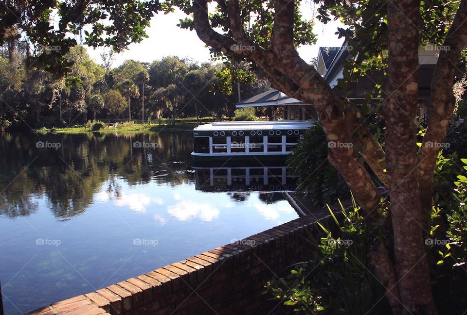 Evening at the springs