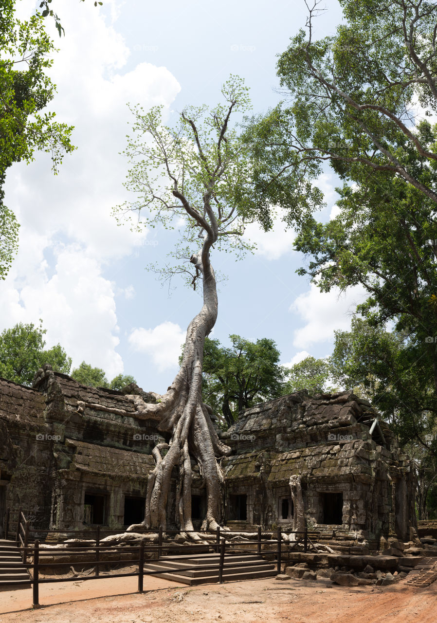 Ta Prohm temple in Siem reap Cambodia 