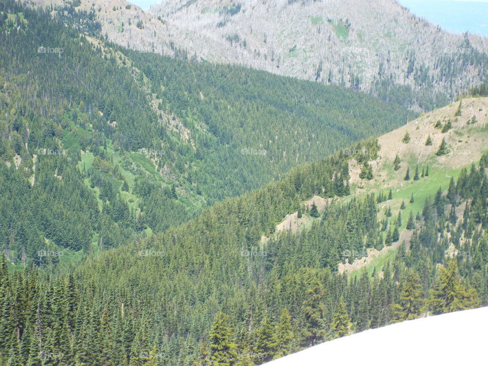 Olympic National Park.