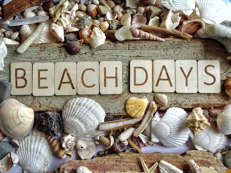 Word Beach day on driftwood