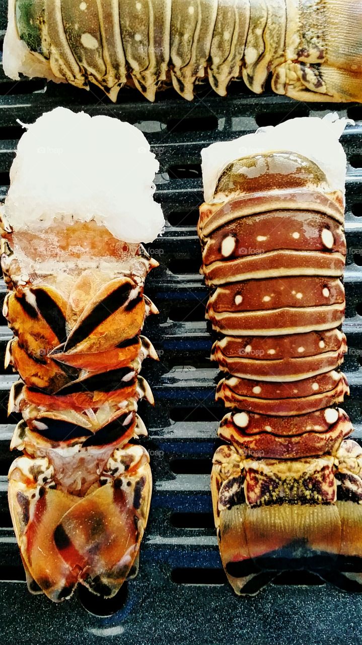 Frozen lobster tails on broiler tray