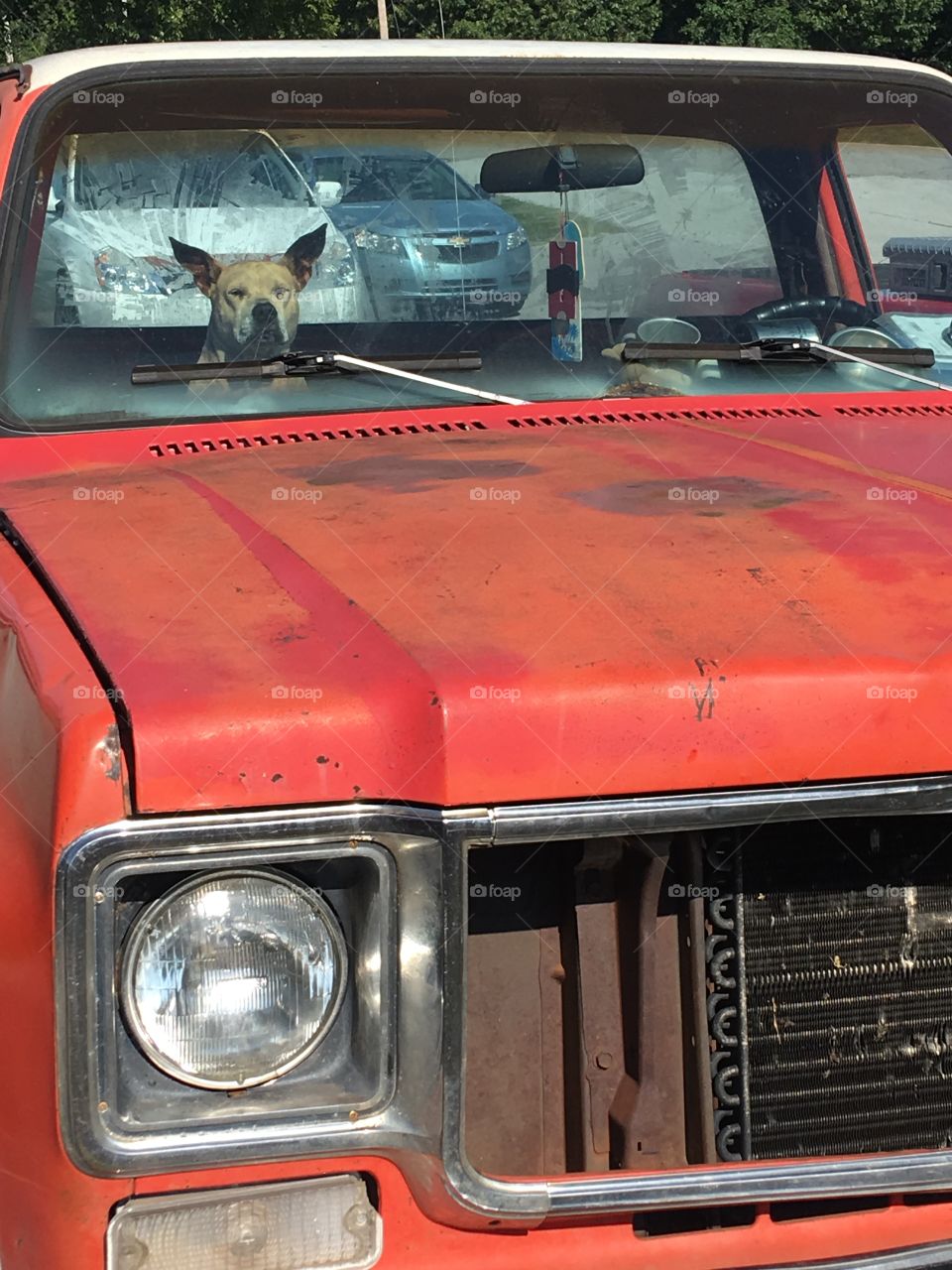 You go ahead just try to steal this truck just go ahead I dare you! I’m a Chevy dog.