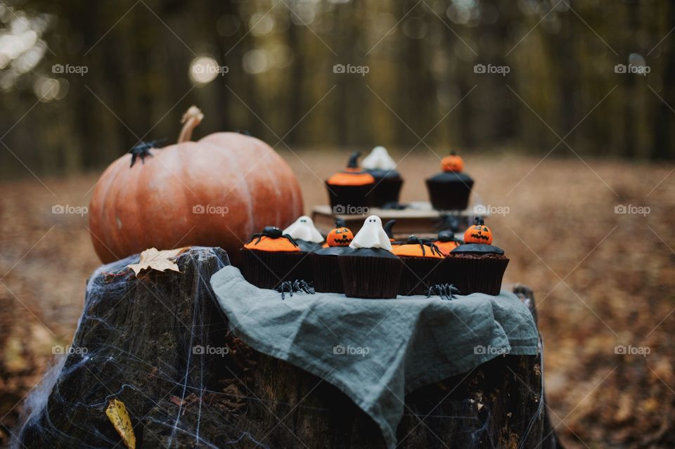 forest, night, holiday, decorations, snacks, fall, orange, black, mystery, Halloween, dark, glowing, candy, flashlight, ginger, fun, cute, fog, gloomy, burning, candle, flame, Jack, face, smile, autumn, symbol, skeleton, dark, above, scary, good, funny, background, lonely, sadness, darkness, magic, event, bat, Ghost, concept, trick, emblem, Phantom, pumpkin face, pumpkin, October, September, werewolf, mage, terrible, grim, supernatural, treat, trick or treat, horrible, wizard, Jack-lantern