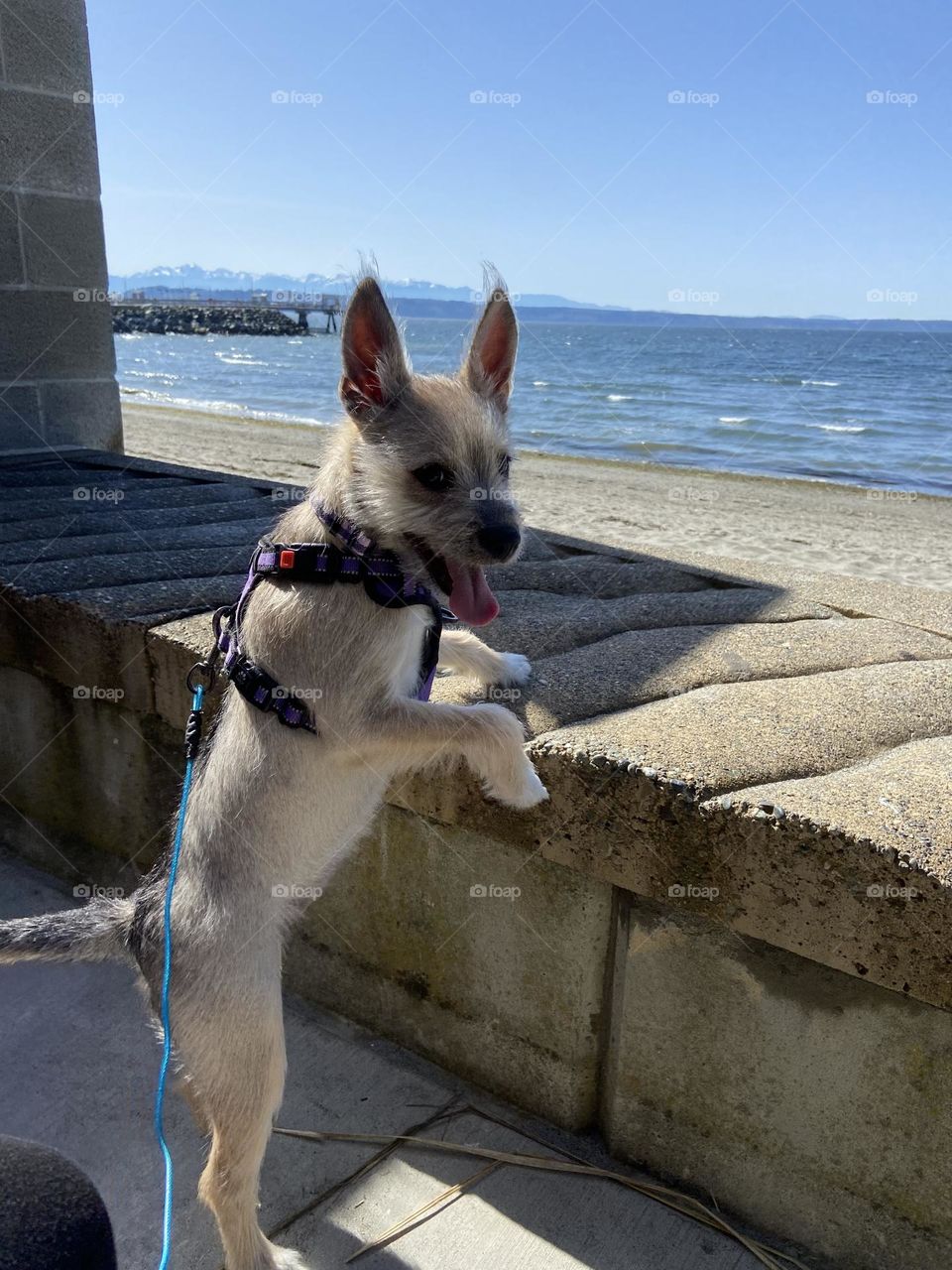 The best viewpoint on the walk