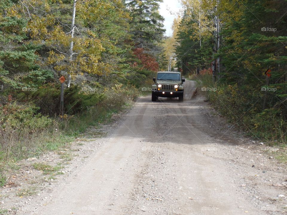 Drummond Island, Michigan 