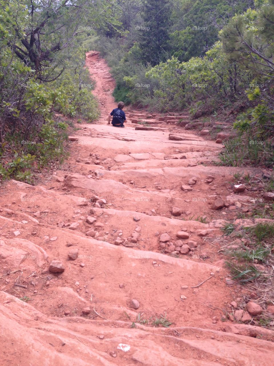 Stairs on the trail