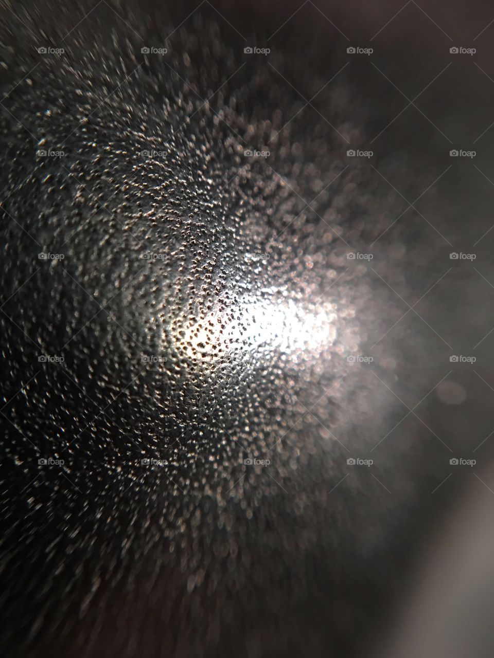 Gear Shift Leather macro