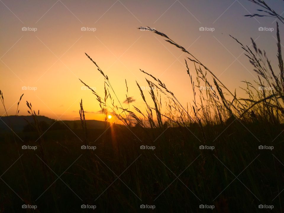 Sunset, Dawn, Sun, Grass, Sky