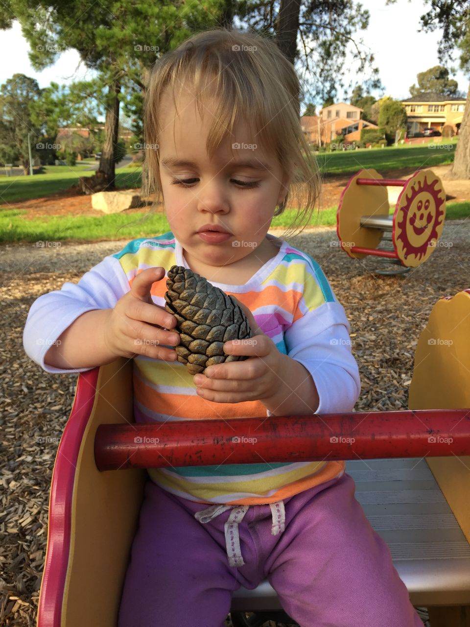 Little baby holding pinecone