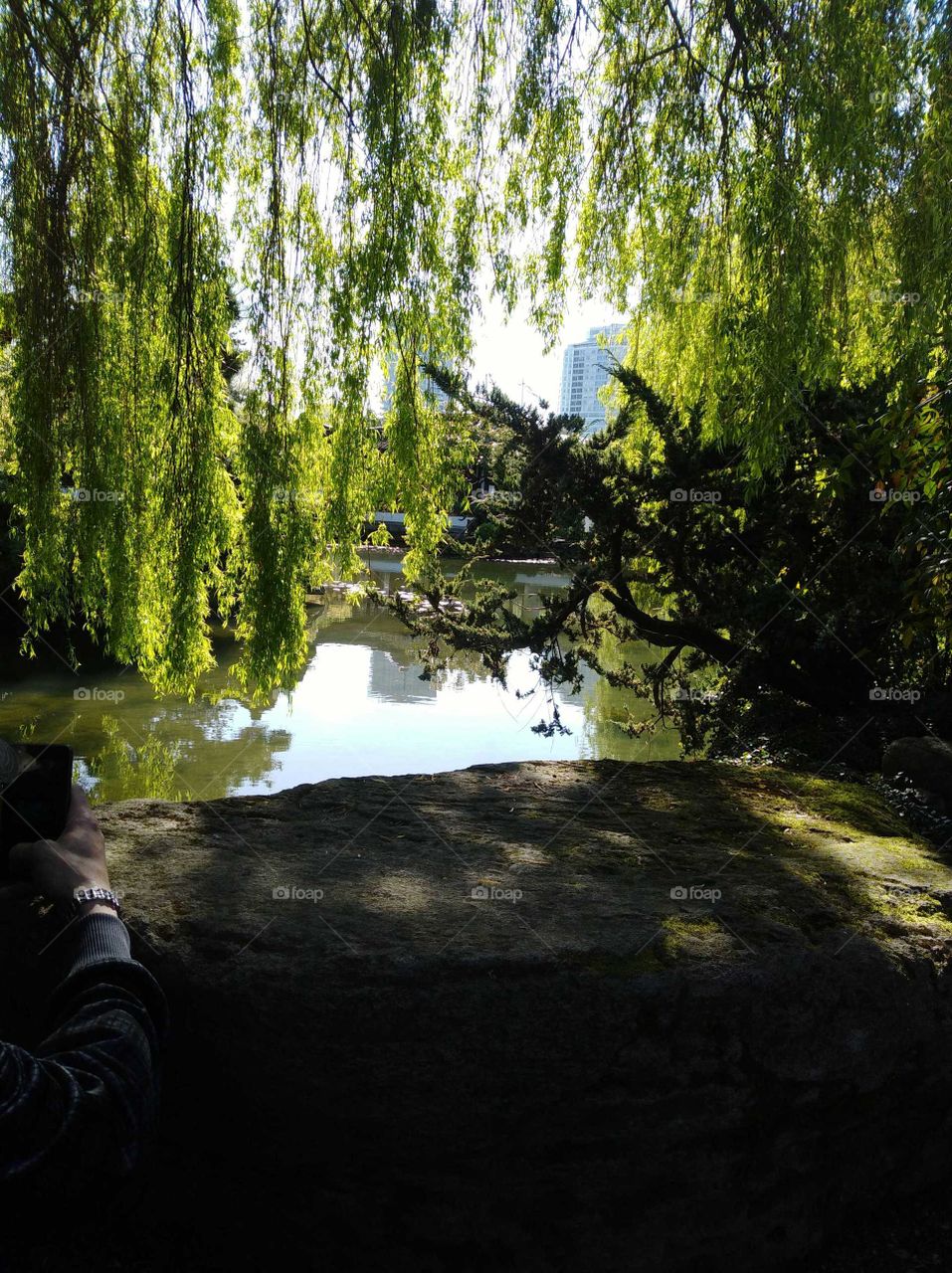 dynamic views on the side of the river where we live