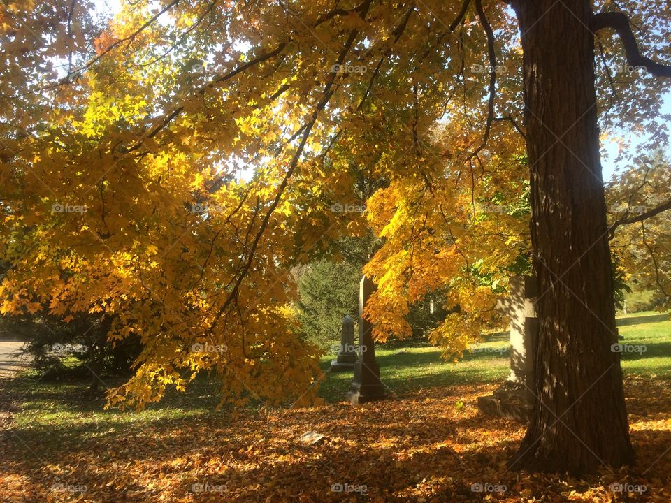 Fall in Ohio 
