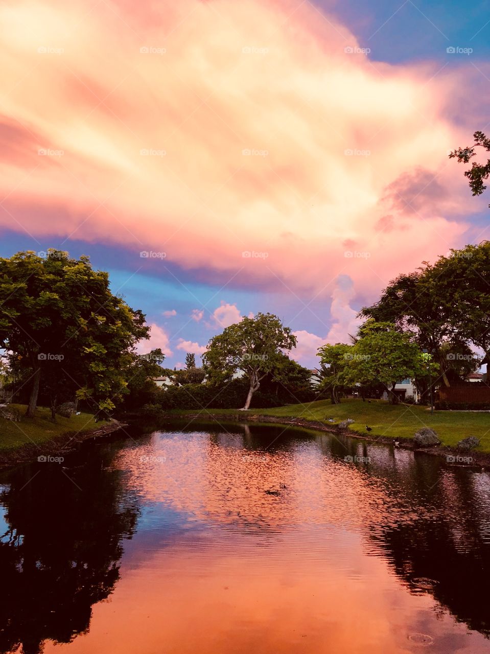 Florida Sunset 