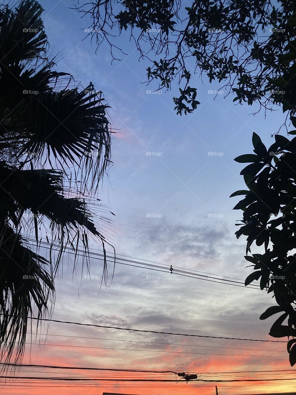 🌄🇺🇸 An extremely beautiful dawn in Jundiaí, interior of Brazil. Cheer the nature! / 🇧🇷 Um amanhecer extremamente bonito em Jundiaí, interior do Brasil. Viva a natureza