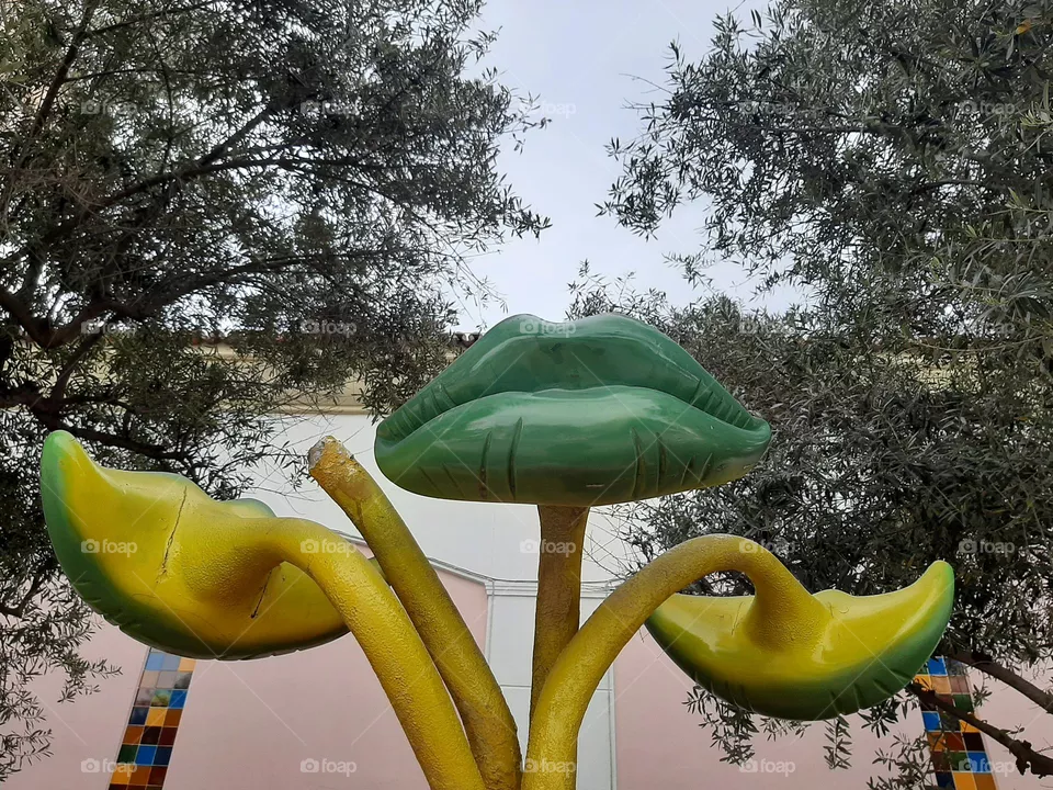Visual Street Art,  Portugal