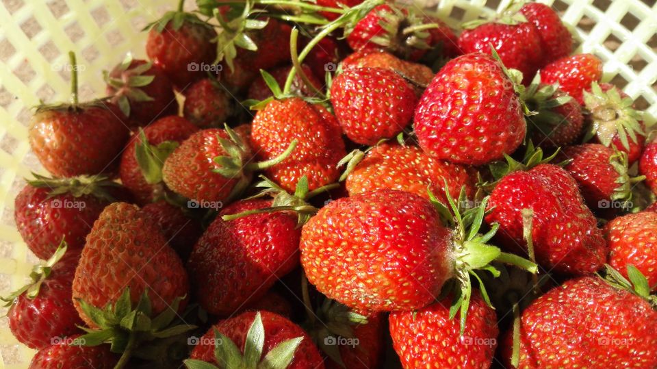 Close-up of strawberries on basket