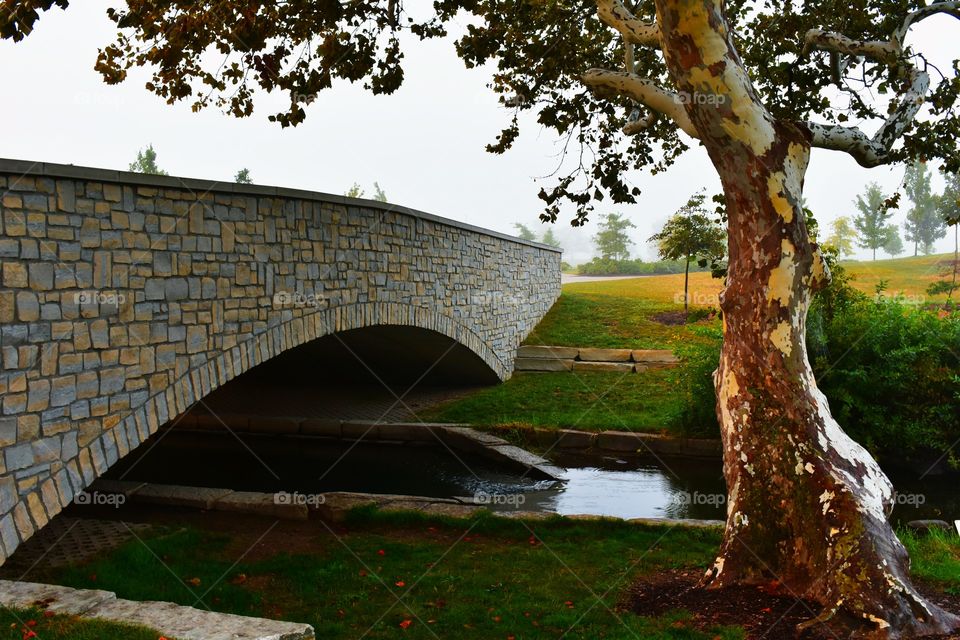 scripture Bridge Water Park fog trees grass park Dublin Ohio