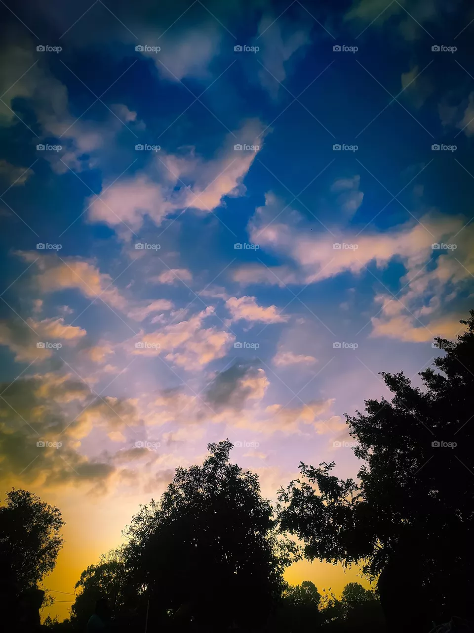 sunset
