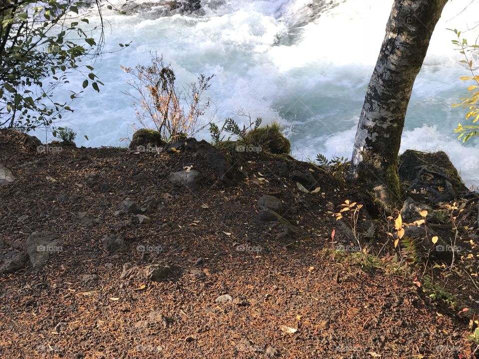 Sun rays reflect off the rushing waters of the McKenzie River in the mountains of Western Oregon on a beautiful fall day. 