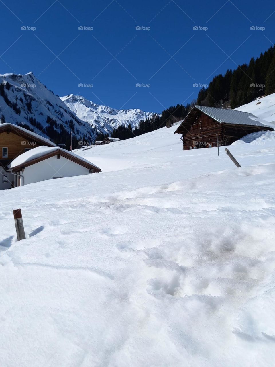 Deep Snow in Austrian Alps