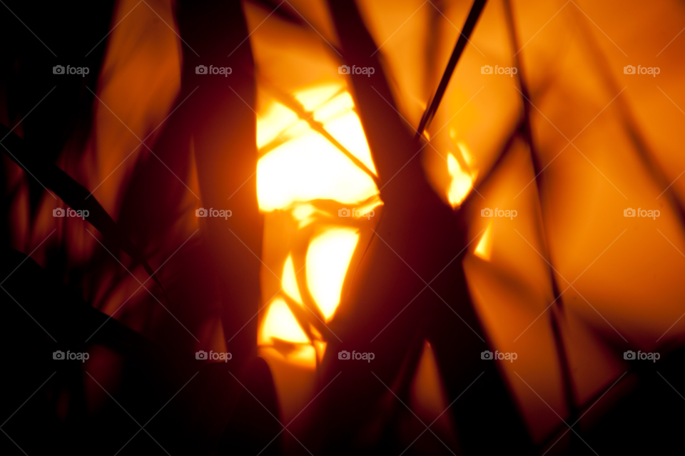 red grass sunset orange by liquideyes