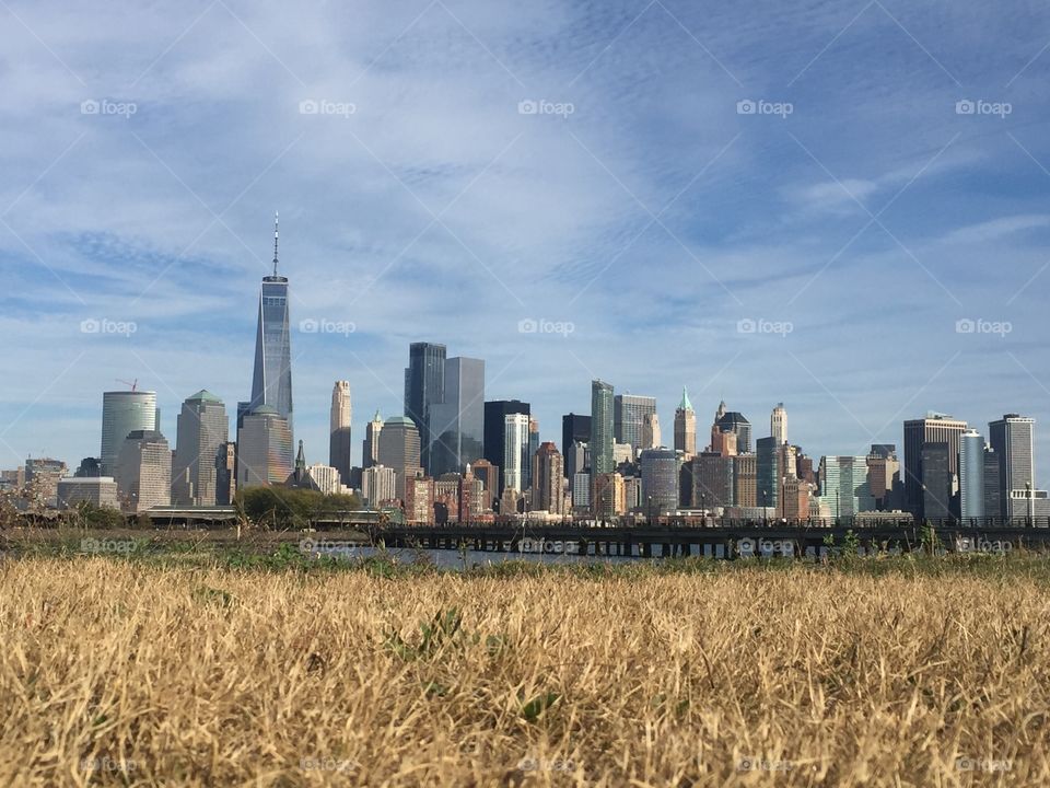 Skyline and grass 