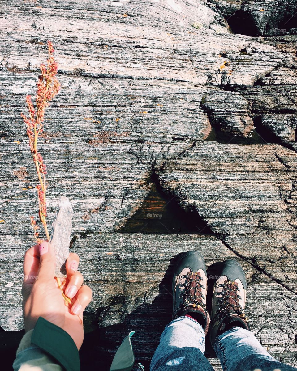 People, Tree, Nature, Old, Outdoors