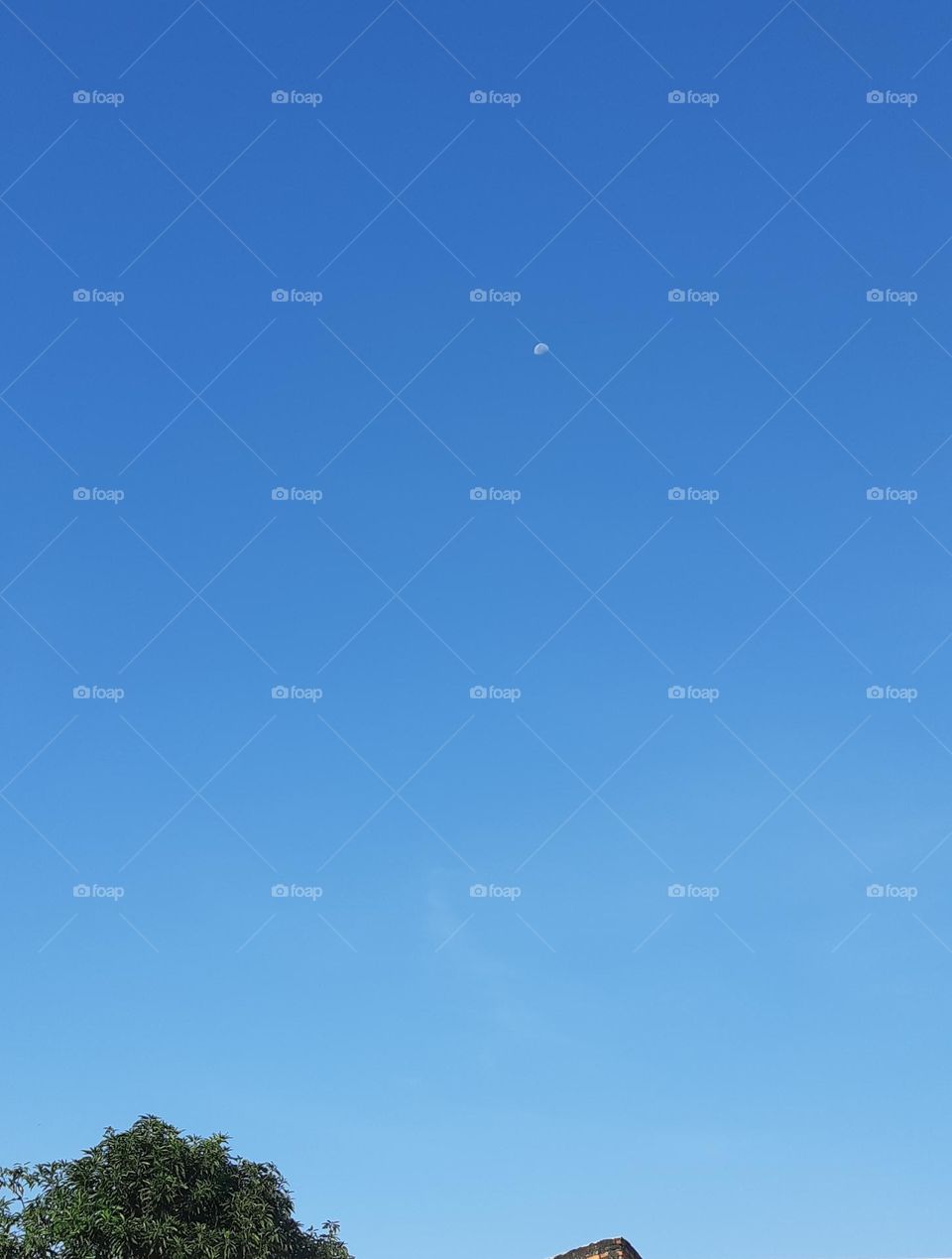 Beautiful scenary in the morning with a half moon appearance and bright blue sky