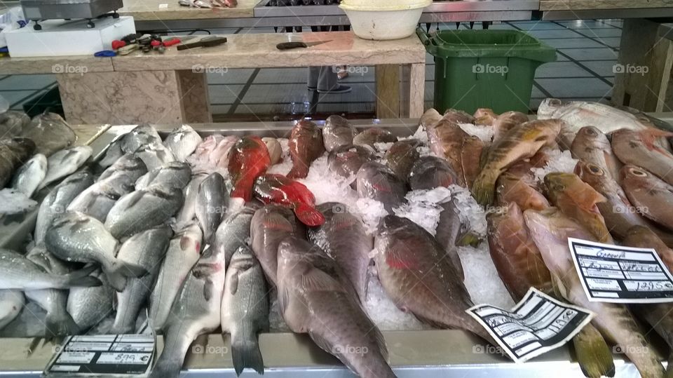 Fish market, Funchal, Madeira