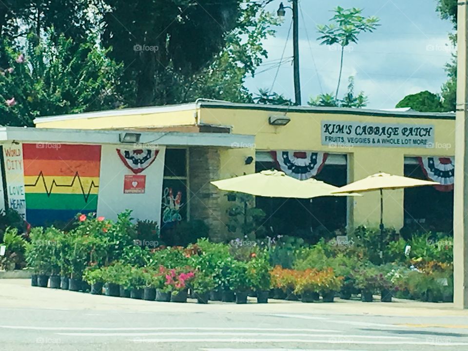 One Love rainbow Pulse pride 🌈