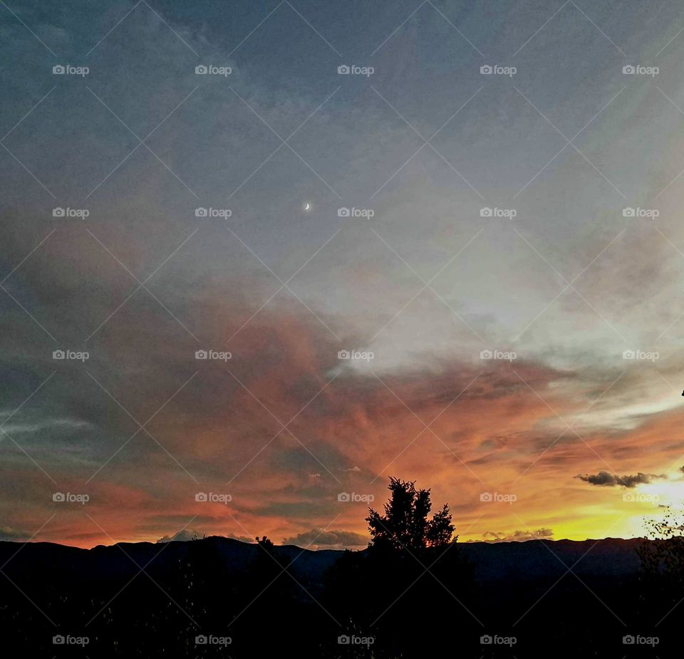 Conifer Colorado Sunset # 9