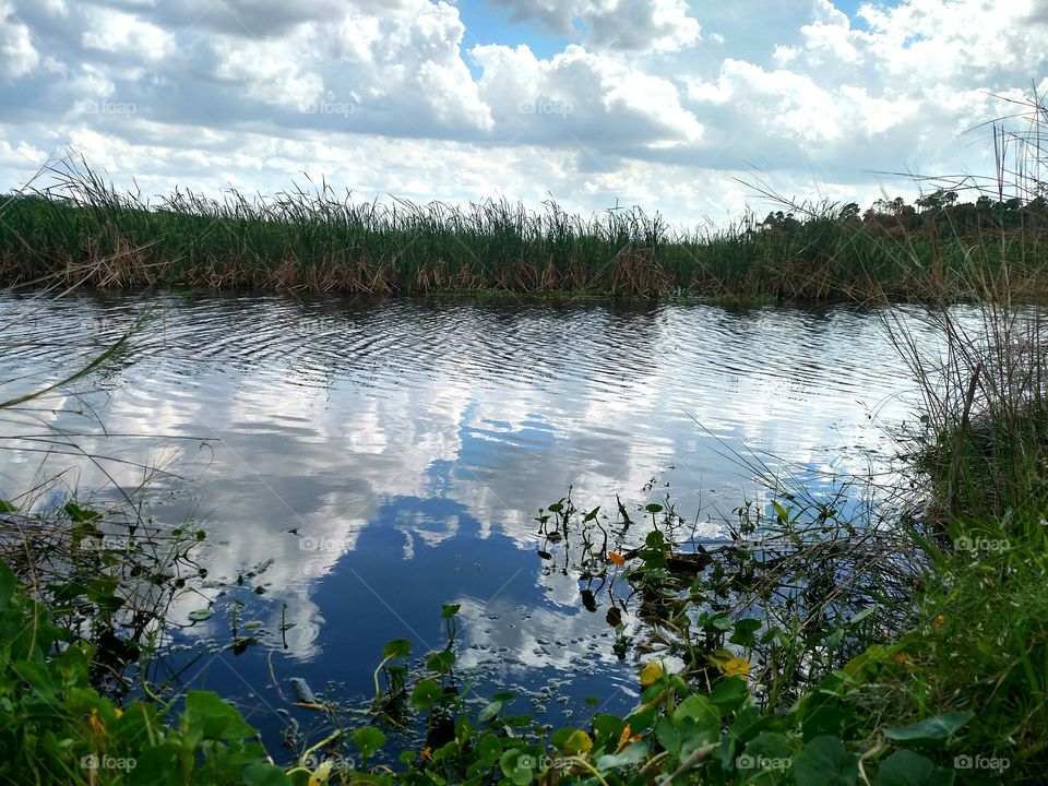 perfection reflections