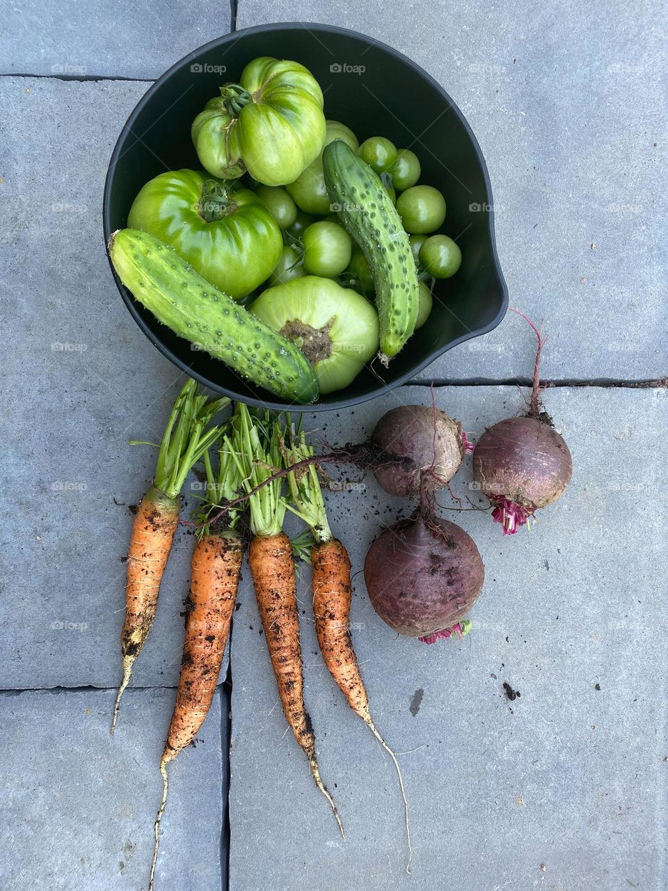 Freshly picked vegetables 