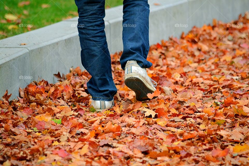 Out walking in the park