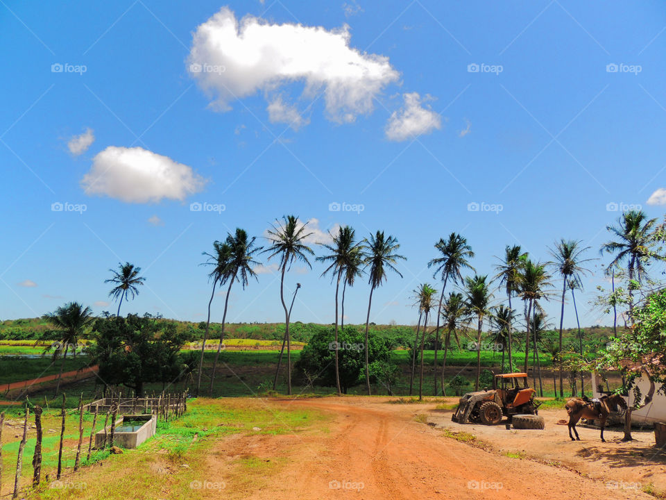 The man who works in the field living in harmony with nature to cultivate and prosper together with it. A necessary balance.