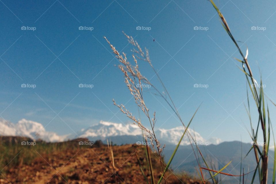 Himalaya . Annapurna 1,2,3,4; Fishtail 