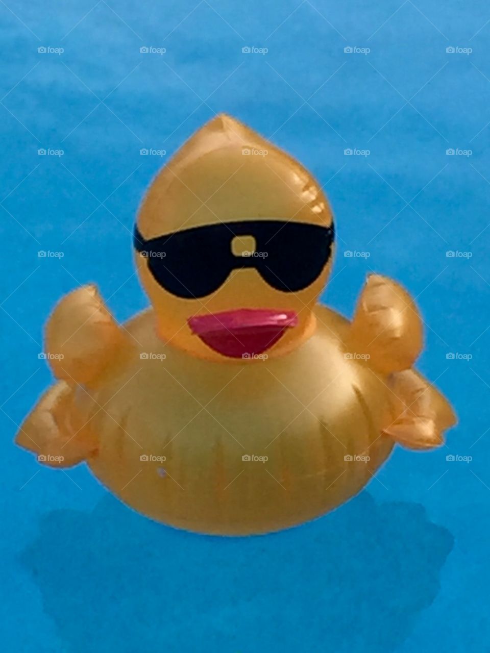 This duck decided to join in the 4th  of July celebration. as he floated in the pools among us.  Fun day all around!