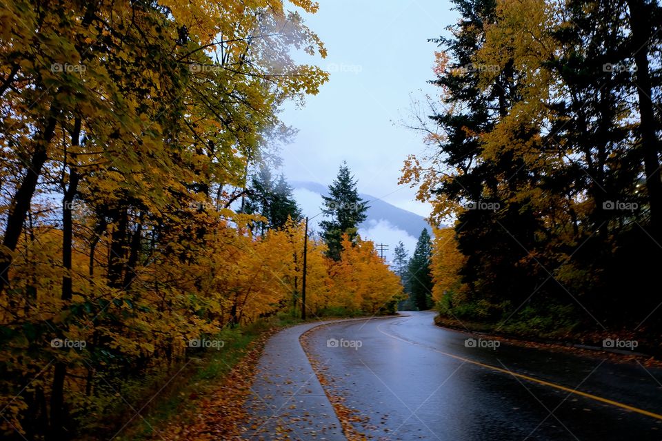 Road to Nowhere, Nelson British Columbia