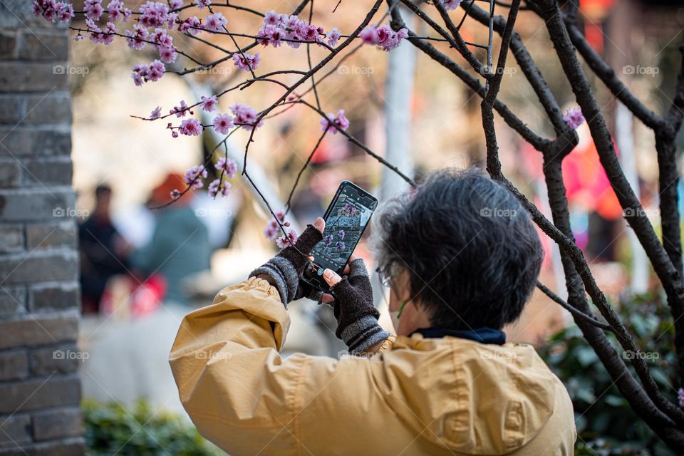 A woman is capturing the flowers and plants .