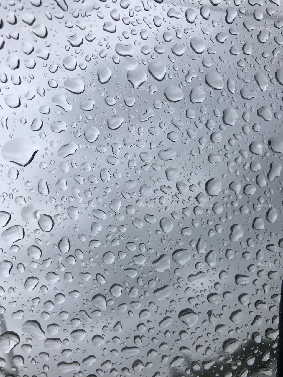 rainwater drops on a glass plate