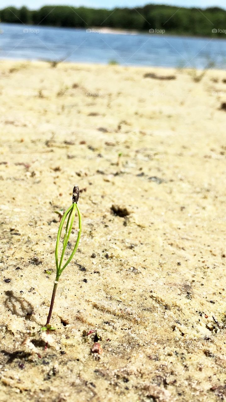 Sand, Nature, Summer, Beach, No Person