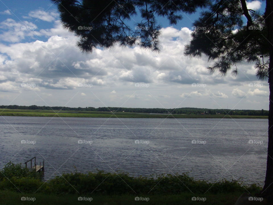 Landscape, Tree, Lake, Water, River