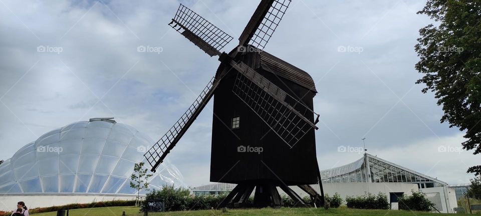 windmill
