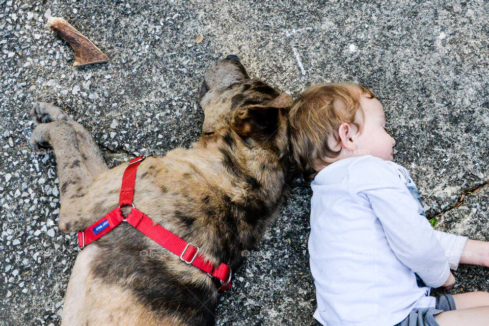 Boy and dog lying on groung