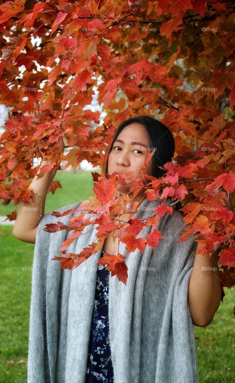 woman and the red maple tree