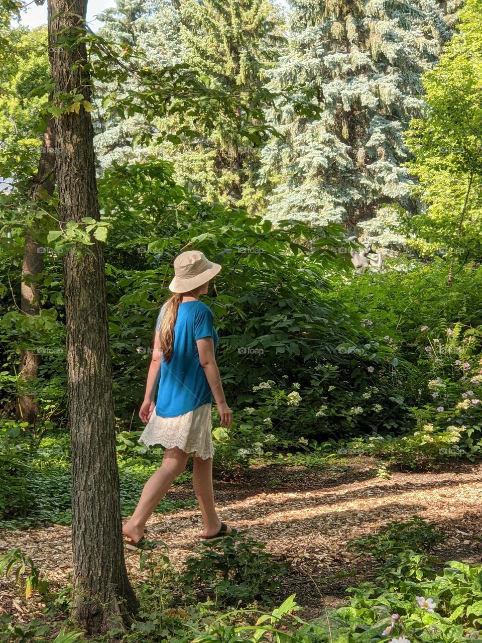 A beautiful day for a walk in the forest