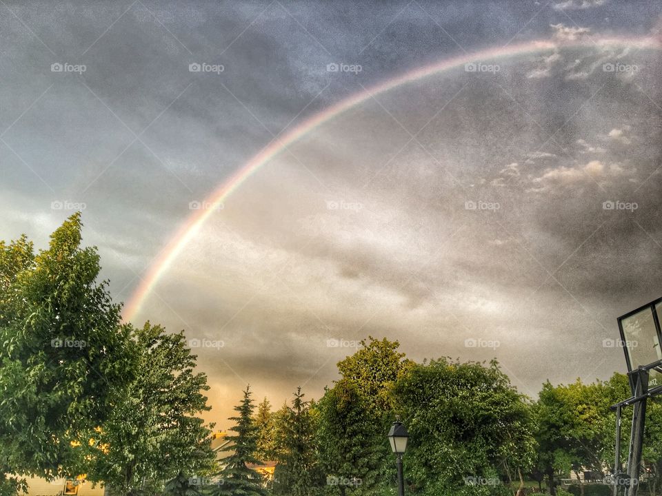 Rainbow over the trees