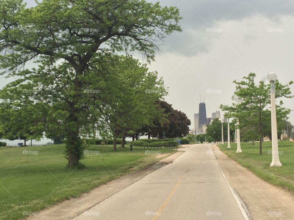 Chicago lake shore path 