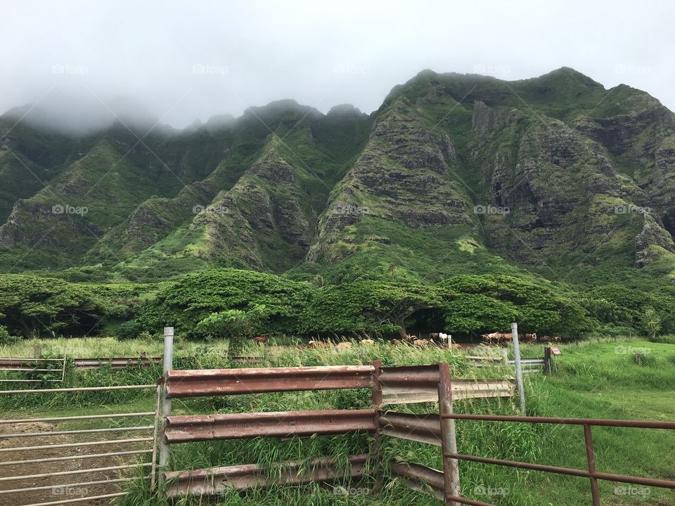 Rustic Fence with Mountain View